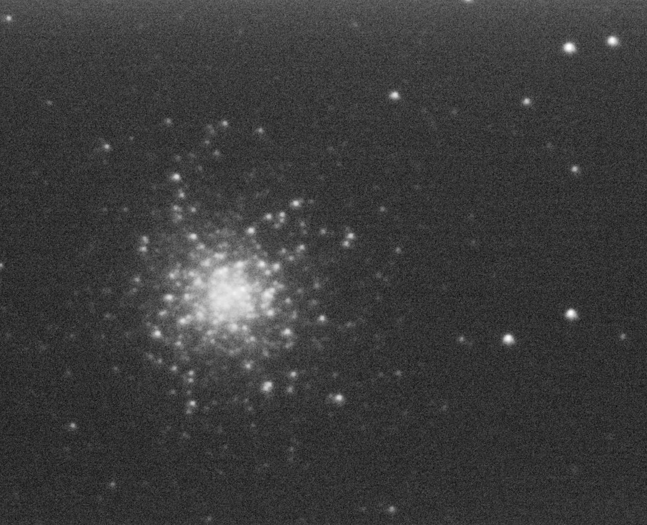 M13