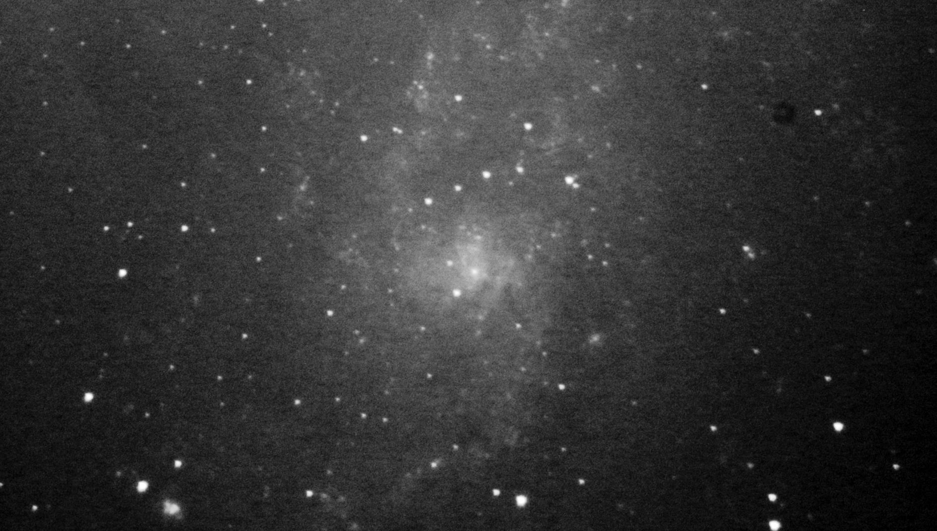 M33